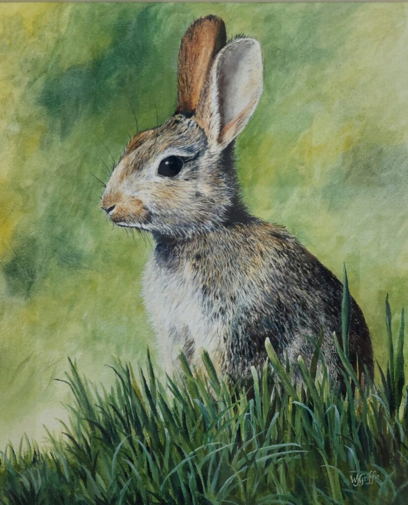 Detailed watercolour painting of a wild rabbit sitting in grass, with finely rendered fur and whiskers. Artwork by Wendy Griffin, titled "Wild Rabbit."