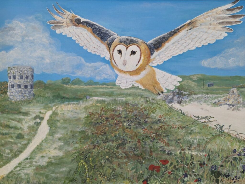 A barn owl glides silently above the island's rugged shoreline, its wings spread wide against the bright sky. The coastal paths, wildflowers, and distant Loophole Tower evoke Guernsey's unique landscape, while the owl brings a sense of mystery and stillness to the scene.
